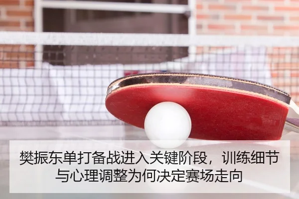 樊振东单打备战进入关键阶段，训练细节与心理调整为何决定赛场走向